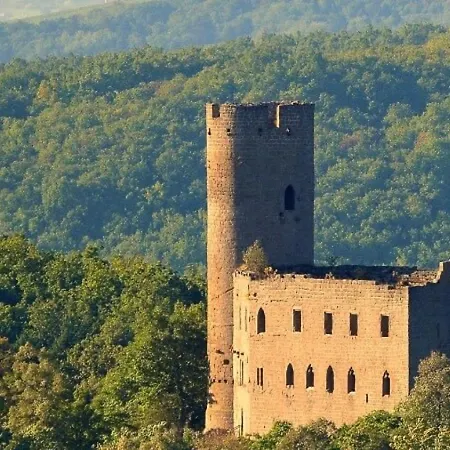 La Curiosite - 2 A Barr, Route Des Vins D'alsace Barr