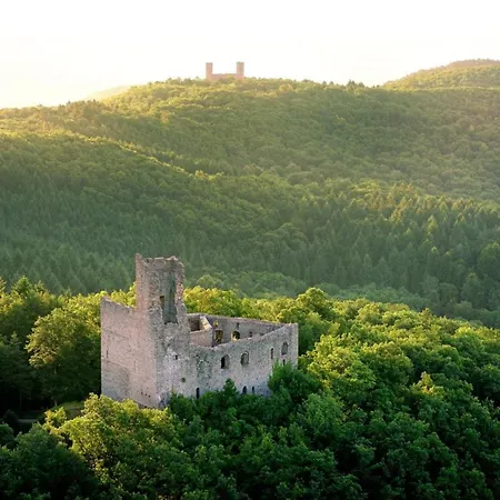 La Curiosite - 2 A Barr, Route Des Vins D'alsace Barr