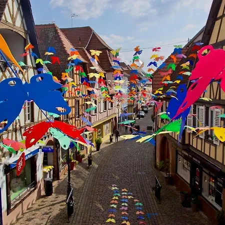 La Curiosité - 2 à Barr, Route Des Vins D'alsace