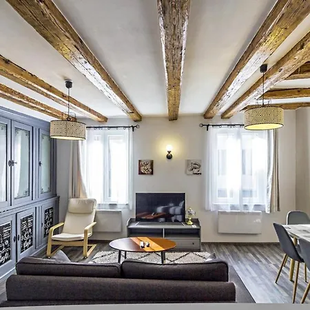 La Curiosite - 2 A Barr, Route Des Vins D'alsace Apartment