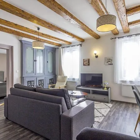 Apartment La Curiosite - 2 A Barr, Route Des Vins D'alsace